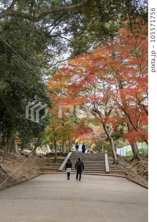 秋の公園を散歩する 秋の公園を散歩する 105571756