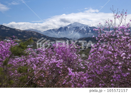 端岩寺と岩ツツジ 105572157