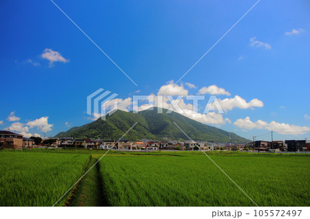 北九州市の足立山と田畑　【青空背景】 105572497