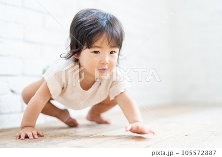 赤ちゃん　ハイハイする女の子 105572887