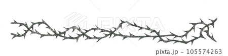 茨のラインアート 105574263