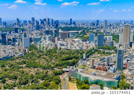 東京　港区　六本木ヒルズ展望台からの都市風景（新宿方面） 105574401