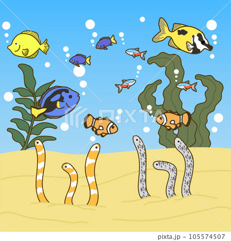 熱帯水族館の魚02 熱帯水族館の魚02 105574507