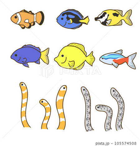 熱帯水族館の魚01 105574508