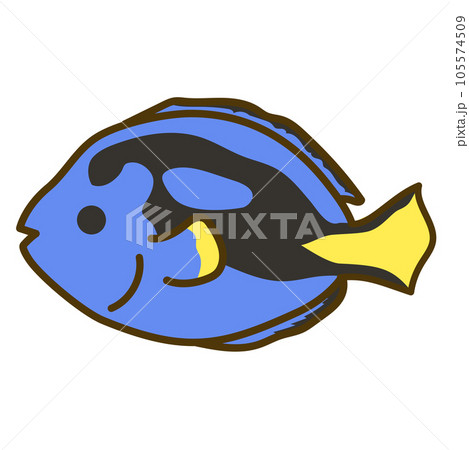 ナンヨウハギ01 ナンヨウハギ01 105574509