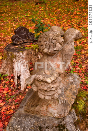 能登國二ノ宮　天日陰比め神社　紅葉　狛犬 105574835