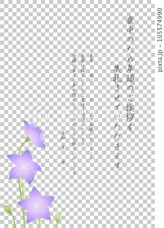 喪中はがき 桔梗の花 喪中はがき 桔梗の花 105574990
