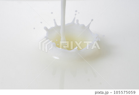 ミルククラウン 105575059