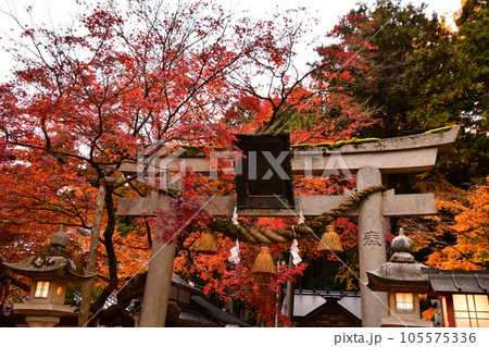 能登國二ノ宮　天日陰比め神社　紅葉 鳥居　扁額 105575336
