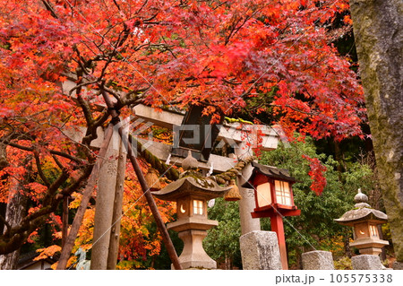 能登國二ノ宮 天日陰比め神社 紅葉 鳥居 扁額 能登國二ノ宮 天日陰比め神社 紅葉 鳥居 扁額 105575338
