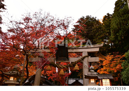 能登國二ノ宮　天日陰比め神社　紅葉 鳥居　扁額 105575339