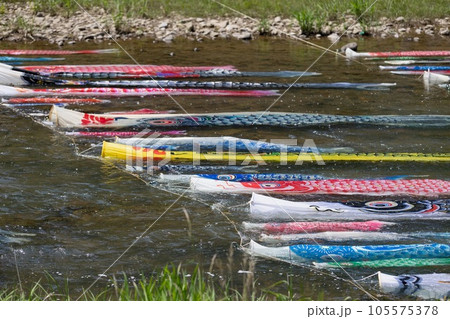 浅の川、鯉流し⑥ 105575378