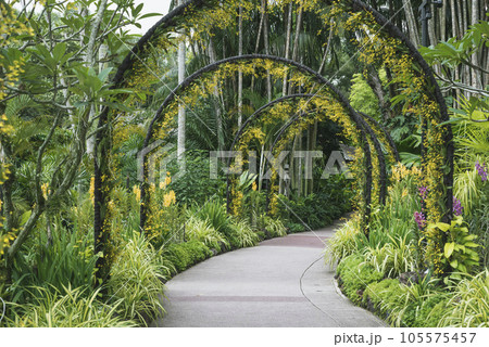 tropical park archway 105575457