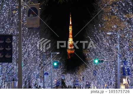 年末（12月）六本木欅坂イルミネーションに浮かぶライトアップ東京タワー 105575726