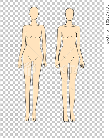女性模特的插圖。女性全身輪廓的插圖。 105575731