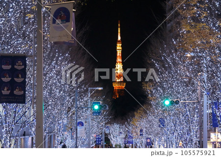 年末（12月）六本木欅坂の煌めくクリスマスイルミネーションに浮かび上がる東京タワー 105575921