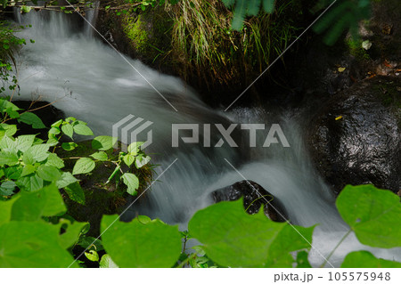 一乗谷朝倉氏遺跡(一乗滝)ー夏 一乗谷朝倉氏遺跡(一乗滝)ー夏 105575948