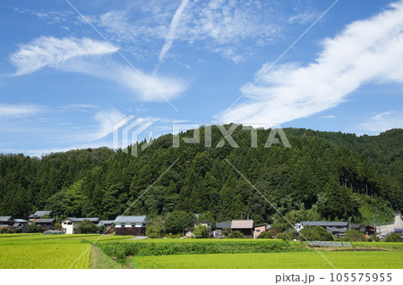 一乗谷朝倉氏遺跡（一乗滝）ー夏 105575955