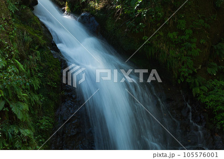 一乗谷朝倉氏遺跡(一乗滝)ー夏 一乗谷朝倉氏遺跡(一乗滝)ー夏 105576001