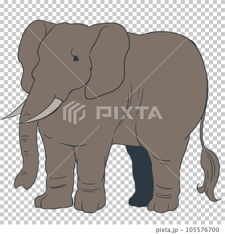 アフリカゾウ01のイラスト素材 [105576700] - PIXTA