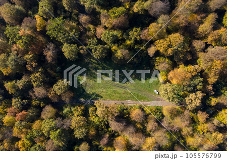 Aerial view of forest canopy in the autumn Aerial view of forest canopy in the autumn 105576799