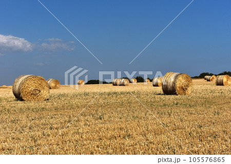 Straw bales on farmland with blue sky Straw bales on farmland with blue sky 105576865