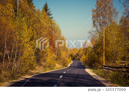 Forest road in the autumn 105577000
