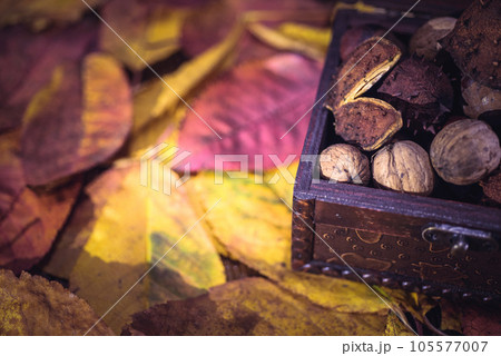 Autumn leaves, treasure box 105577007