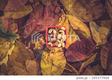 Nuts and autumn leaves 105577008