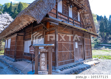 富山県五箇山　桜咲く春の菅沼合掌造り集落の中の塩硝の館 105577115
