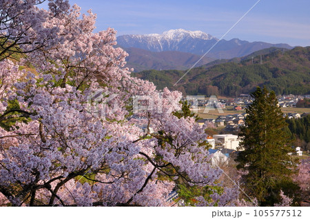 長野県伊那市美篶 子安神社の高台からのタカトオコヒガン桜と冠雪した南アルプス山脈仙丈ヶ岳 長野県伊那市美篶 子安神社の高台からのタカトオコヒガン桜と冠雪した南アルプス山脈仙丈ヶ岳 105577512