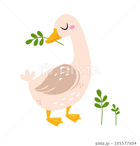 Funny Goose Character with Green Twig in Bill Vector Illustration Funny Goose Character with Green Twig in Bill Vector Illustration 105577804