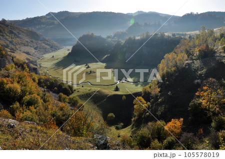 Mountain autumn landscape with colorful forest 105578019