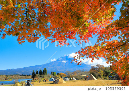 秋のキャンプ場のイメージ　富士山と田貫湖キャンプ場の紅葉 105579395