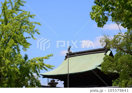 神社の正門の瓦屋根 神社の正門の瓦屋根 105579641