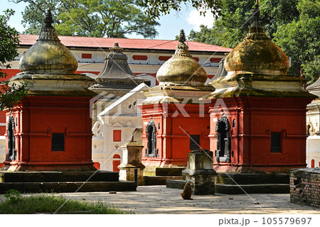 Ancient Hindu temple in Pashupatinath before the earthquake that destroyed them. Kathmandu, Nepal Ancient Hindu temple in Pashupatinath before the earthquake that destroyed them. Kathmandu, Nepal 105579697