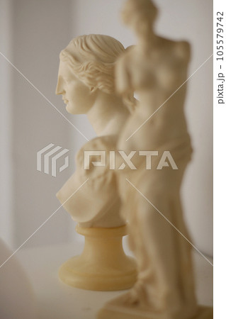 自然光で撮影したミロのヴィーナスのインテリア石像 105579742
