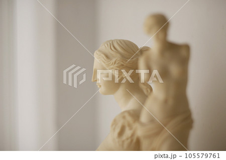 自然光で撮影したミロのヴィーナスのインテリア石像 105579761