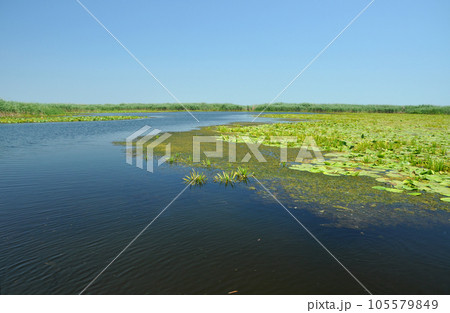 Beautiful lake in Danube delta, Romania 105579849