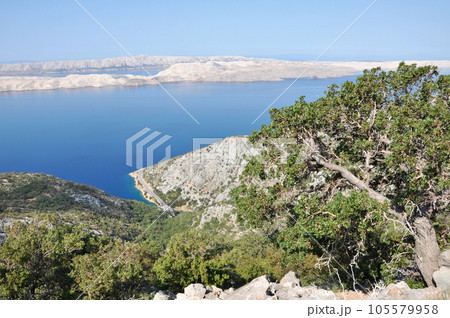 Limestone island in Croatia 105579958
