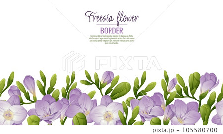 Seamless border of purple freesia flowers and green buds on a white background. Background design. Template for posters, postcards. Vector illustration Seamless border of purple freesia flowers and green buds on a white background. Background design. Template for posters, postcards. Vector illustration 105580700