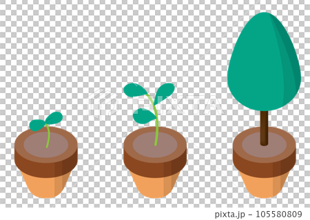 植物生長過程的例證。自然環境的圖像。 105580809
