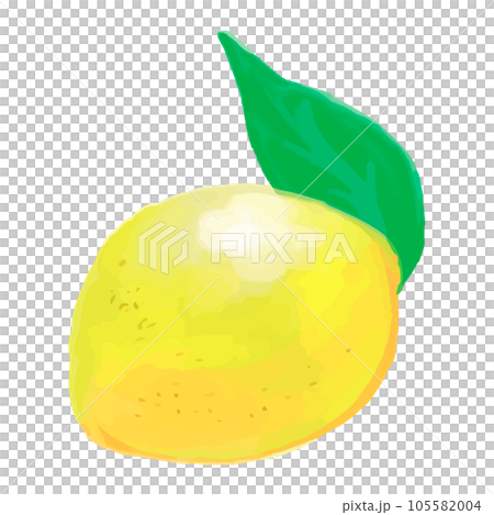 葉のついたレモンの水彩イラスト 葉のついたレモンの水彩イラスト 105582004