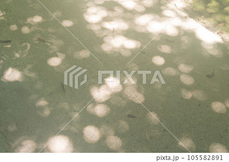 ノスタルジックな風景・木漏れ日 イメージ 105582891