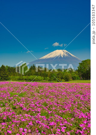 富士山のある風景 105583347