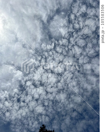 青空で競い合う雲たち 105583506