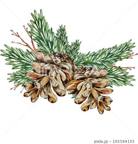 Collection of watercolor postcards with Christmas and winter. Poinsettia, holly, Christmas tree toys, holiday symbols. Suitable for the design of postcards, New Year's invitations. 105584135