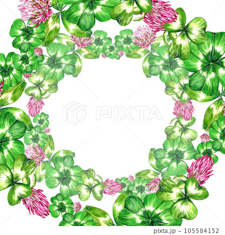a set of watercolor bright illustrations. meadow grasses, flowers, clover. summer mood for the design of postcards, invitations, website design. 105584152