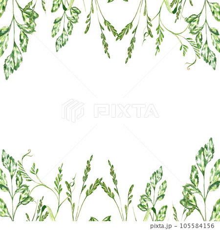 a set of watercolor bright illustrations. meadow grasses, flowers, clover. summer mood for the design of postcards, invitations, website design. a set of watercolor bright illustrations. meadow grasses, flowers, clover. summer mood for the design of postcards, invitations, website design. 105584156