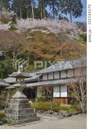 善峯寺の釈迦堂と燈篭 105584270